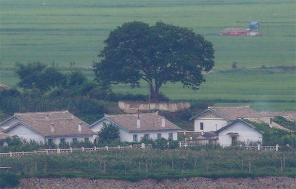 [News on North Korea] 썸네일